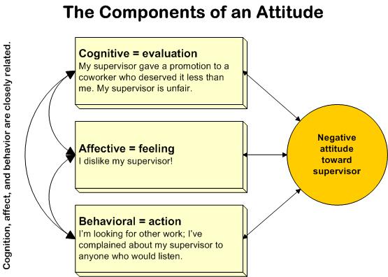 Components of an Attitude