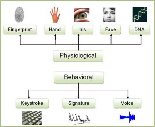 Biometric Physiological and Behavioral Modalities Chart