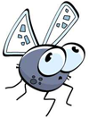 Bug Cartoon