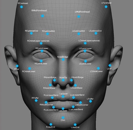 Facial Recognition Algorithm Representation