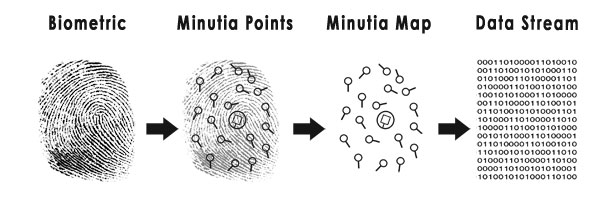 Fingerprint Data