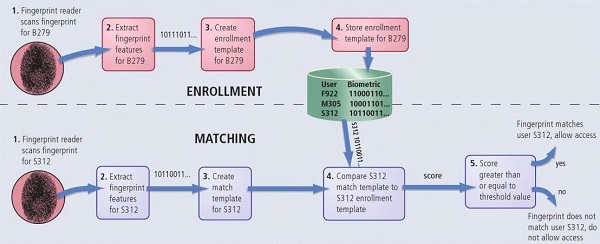 Two Steps in Biometric Fingerprint Technology