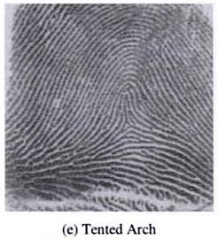 Fingerprint  - Tented Arch (T)