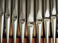 Organ Pipes