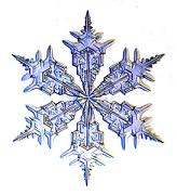 Snowflake